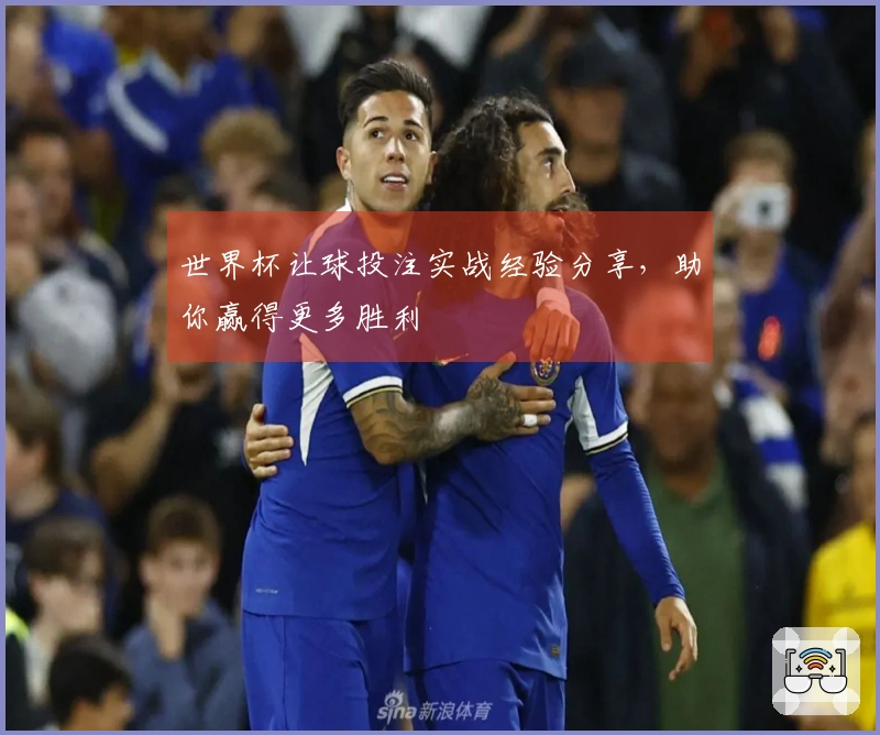 世界杯让球投注实战经验分享，助你赢得更多胜利