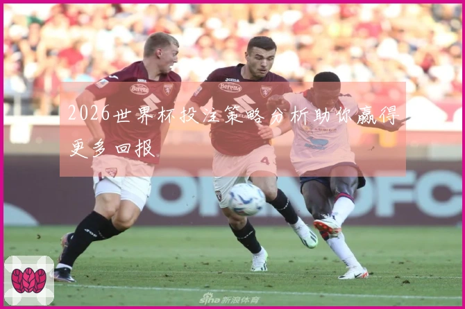 2026世界杯投注策略分析助你赢得更多回报