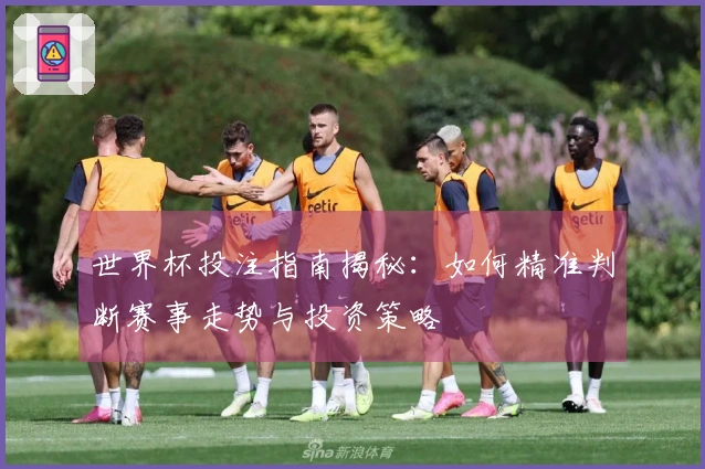 世界杯投注指南揭秘：如何精准判断赛事走势与投资策略
