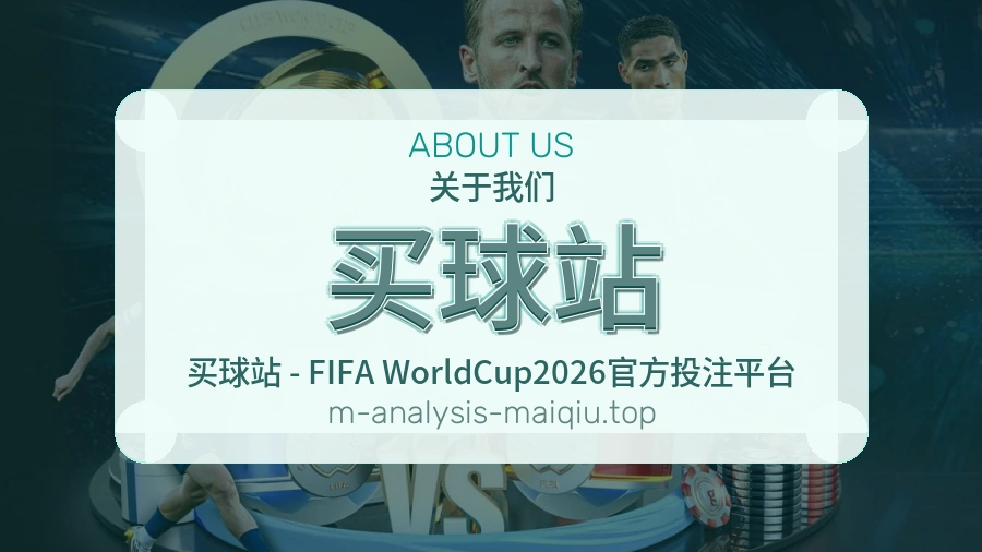关于 买球站 团队与服务